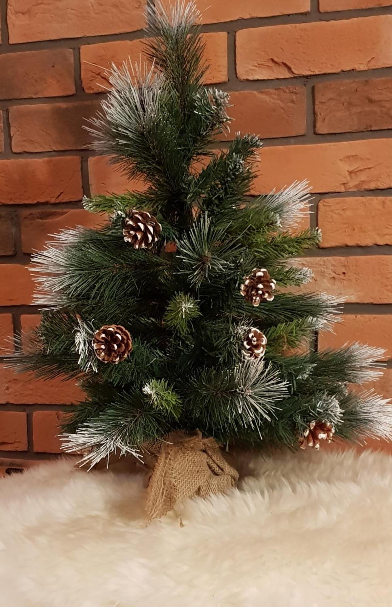 Apartamenty Bachledzki Wierch, זקופאנה מראה חיצוני תמונה